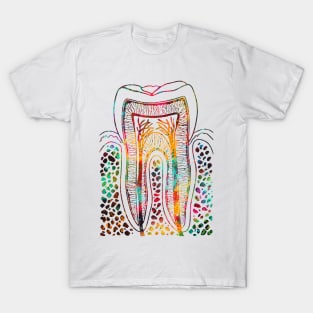 Tooth Structure T-Shirt